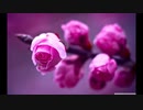 [TRANCE] Mixed by aki 2022/03/05