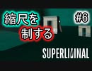 【錯視×パズル】SUPERLIMINAL 初見プレイ #6【ゆっくり実況】