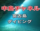 中の島チャネル！宮古島ダイビング・ダイブクルーズ宮古島