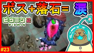 巨大ボスが突っ込んできた!!壁にぶつかり落石の雨…少しはおとなしくして下さい!!【ピクミン2　#23】