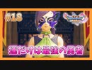 【DQ11S】女性には命令できない男のドラクエ初見実況プレイ Part18