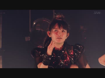 【高画質】- SILVER FOX FESTIVAL - あわだま~yava!