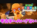 【あつまれ どうぶつの森 ハッピーホームパラダイス実況】別荘？？OK！任せて！はじめの別荘「考古学へのいざない」完成編