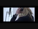 【男性が1人で原曲キー】Da-iCE『CITRUS』歌ってみた　Covered by Kazu☆　(日本テレビ系日曜ドラマ「極主夫道」主題歌)