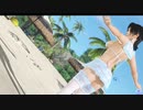 【DoaXvv/紅葉】立ち・つばめのポーズ/ハーフセイル 030600
