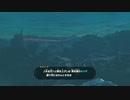 続編出るまでにBotWクリアしときたいマン　英傑たちの詩(バラッド)編　part9