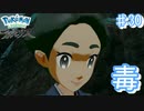 絶対何か企んでそうな依頼人【アルセウス ♯30】