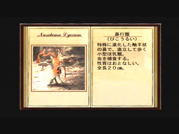 【DESERTED ISLAND】よく分からないゲームをやろう会_Part13