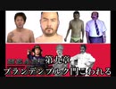 【HoI4NSB】ポーランド田中　第九章「ブランデンブルク門こわれる」【淫夢実況】