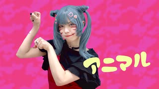 【神綺杏菜が生まれた日】アニマル【踊ってみた】