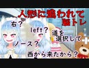 人形に追いかけられる脳トレ『ふぃっちうぇーーーーーい』