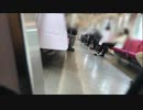 乗客にまぎれたモノ　「いる。」～怖すぎる投稿映像13本～Vol.35