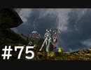 【FF10】これはひよこの物語 75【Steam版】