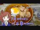 ささらちゃんと川本家のカレー【漫画飯再現料理祭2022】