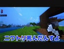 【Minecraft】ラックのらくらくマインクラフト:Part13【実況】