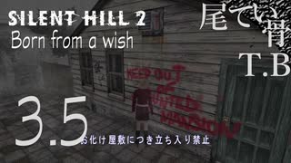 【初見】マリアのはじめてのおつかい SILENT HILL2 part3.5 Born from a wish