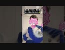 猫と踊ってたら顔に猫キック飛んできました #すとぷり #さとみくん #shorts