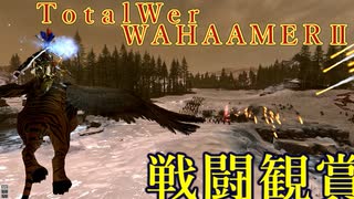 オマケ編：戦闘鑑賞会【Total War:WARHAMMER Ⅱ】