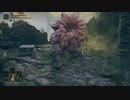 ダークソウルシリーズ未プレイ主のエルデンリング実況part 9