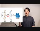 コロナワクチンのmRNAが逆転写！？　問題点を分かりやすく解説！　【自然療法士 ルイ】