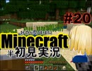 好奇心のままにMinecraftを半初見実況 part20