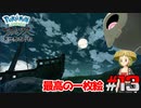 ポケモン異世界転生道中記【LEGENDSアルセウス】ツッコミ多めの実況part13