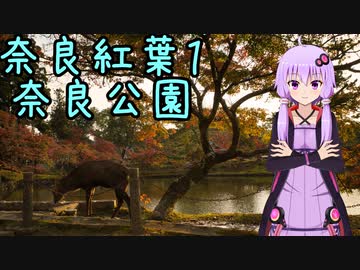 近畿おバイク風景案内２１ 奈良紅葉１ 奈良公園【V-STROM1050XT】