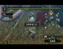 【MHP2G】WPの分際でマフモフ最強伝説　その２「ごりら」