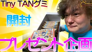 【Tiny TANグミ】話題のBTSのTiny TANグミを1BOX開封してみた。【開封】