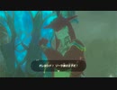 オタメガのブレワイ　04　6/9