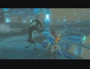 オタメガのブレワイ　04　8/9