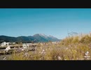 SEVENTEEN公式TikTokから