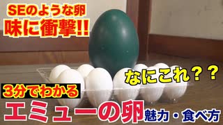 【衝撃】緑の卵？エミューの卵が美味すぎた！！