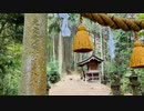 関ヶ浜 妙見山~和木町指定天然記念物「大ヒノキの巨樹」を訪ねて 玖珂郡和木町