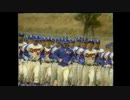 燃えよドラゴンズ!(1982)