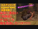 エルデンリング最速攻略！ネタ武器！最高に面白い「指輪指」！デコピンで敵を殲滅していけ！！！[ELDEN RING攻略動画]