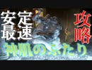 【ELDENRING】RTAの氷斧ルートで『神肌のふたり』を安定して倒す方法【解説実況】