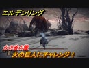 エルデンリング　火の巨人にチャレンジ！火の釜の麓　ストーリーボス攻略　死にまくりです　＃２１７【ELDEN RING】