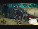【実況】寄生虫がエルデンリングの世界にやってきたの　３【初見プレイ】