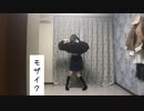 【みなか】アニマル【踊ってみた】