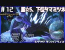 (ひっそりと)MHRise初見実況プレイ#12「月夜に舞う」