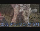 【ELDEN RING】密使生活　5灯目