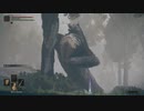 ダークソウルシリーズ未プレイ主のエルデンリング実況part 14