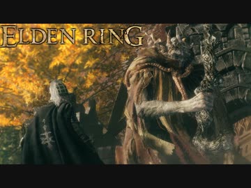 信仰技量の王となる。part _ 002【ELDENRING _ エルデンリング】