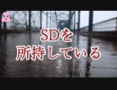 ＳＤを所持している【ゆっくり怪談】【怖い話】　人形の怖い話