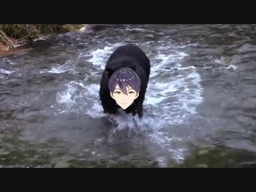 魚を捕るのに失敗しても諦めないツキノアゴグマ