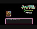 ポケモン不思議のダンジョン空の探険隊【実況】Part12