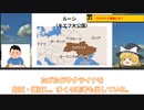 【ゆっくり解説】ウクライナ問題とは何なのか解説【ウクライナ情勢、ウクライナ 歴史、ロシアとウクライナ、ウクライナ情勢 分かりやすく】