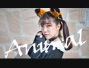 【結奈】アニマル【踊ってみた】