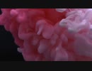 Drops White And Pink Ink In Water On Black Background　仲松司